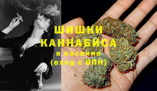 ПСИЛОЦИБИНОВЫЕ ГРИБЫ Балабаново